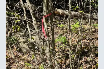 Lot #6 Bonnie Way, Winterport, ME 04496 - Photo 13