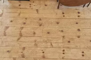 Tbd - 458? Temple Rd, Farmington, ME 04938 - Photo 13