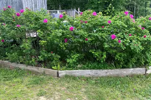 456 Temple Rd, Farmington, ME 04938 - Photo 97