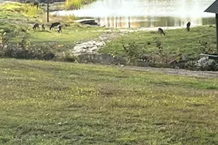 456 Temple Rd, Farmington, ME 04938 - Photo 91