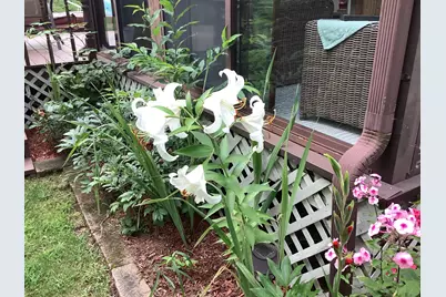 65 Blueberry Lane, Gray, ME 04039 - Photo 45