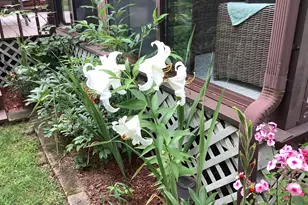 65 Blueberry Ln, Gray, ME 04039 - Photo 45