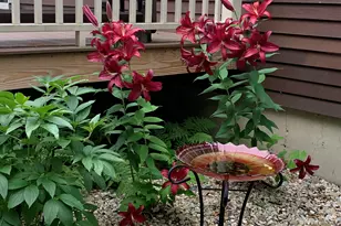 937 Duck Pond Rd, Westbrook, ME 04092 - Photo 31