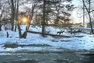 102 Garfield St, Calais, ME 04619 - Photo 35