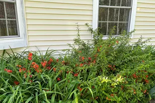 26 Old Nutt Farm Rd, Rockport, ME 04856 - Photo 5