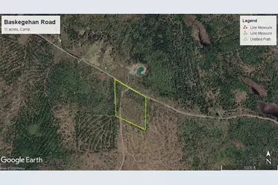 0 Baskahegan Road, Bancroft, ME 04497 - Photo 3