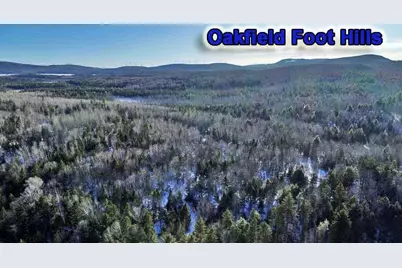 Off US Rt 2 Highway, New Limerick, ME 04761 - Photo 21