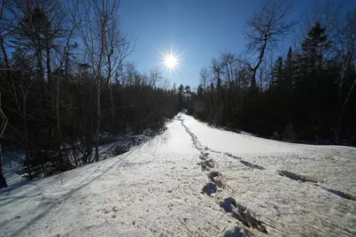 Off US Rt 2 Highway, New Limerick, ME 04761 - Photo 41
