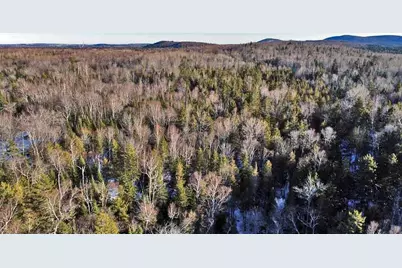 Off US Rt 2 Highway, New Limerick, ME 04761 - Photo 31