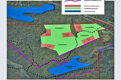 Off US Rt 2 Highway, New Limerick, ME 04761 - Photo 35