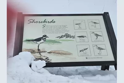 8 Days Landing, Biddeford, ME 04005 - Photo 59