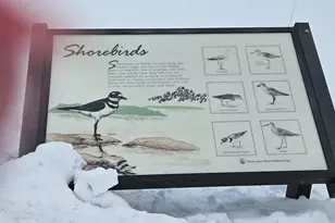 8 Days Landing, Biddeford, ME 04005 - Photo 59