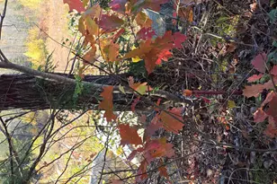 207 Sodom Rd, Norway, ME 04268 - Photo 19