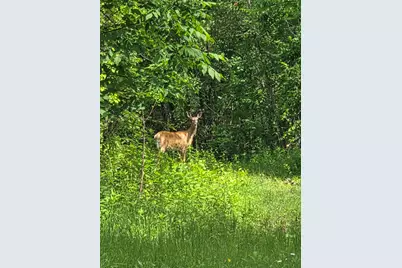 594 River Road Road, Windham, ME 04062 - Photo 21