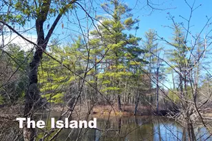 594 River Road Rd, Windham, ME 04062 - Photo 13