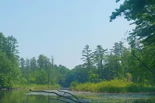 594 River Road Rd, Windham, ME 04062 - Photo 33