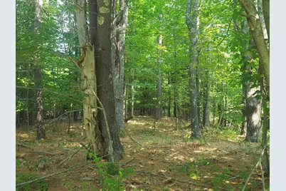 594 River Road Road, Windham, ME 04062 - Photo 23