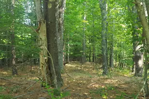 594 River Road Rd, Windham, ME 04062 - Photo 23