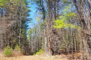 594 River Road Rd, Windham, ME 04062 - Photo 41