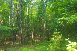 594 River Road Rd, Windham, ME 04062 - Photo 27