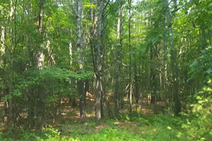 594 River Road Rd, Windham, ME 04062 - Photo 25