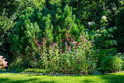 21 Penobscot Avenue, Camden, ME 04843 - Photo 45