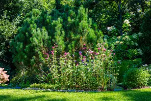 21 Penobscot Ave, Camden, ME 04843 - Photo 45