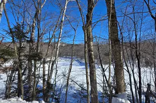 281 Swift River Rd, Mexico, ME 04257 - Photo 17