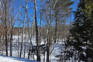 281 Swift River Rd, Mexico, ME 04257 - Photo 15