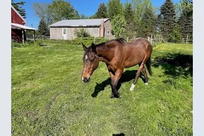 37 Quaker Ridge Road, Casco, ME 04015 - Photo 37