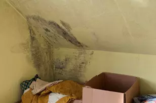 29 Broadway St, Machias, ME 04654 - Photo 25