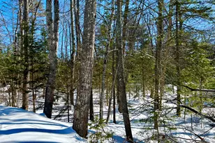 162 Maddocks Ave, Ellsworth, ME 04605 - Photo 47