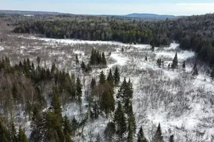 101 Thompson Rd, Harmony, ME 04942 - Photo 17