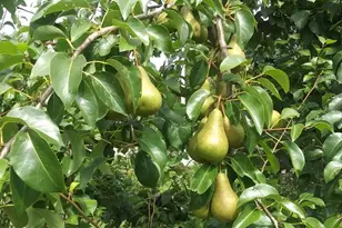 679 Neck Rd, China, ME 04358 - Photo 7