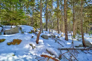 9 & 10 Spruce Needle Ln, Blue Hill, ME 04614 - Photo 59