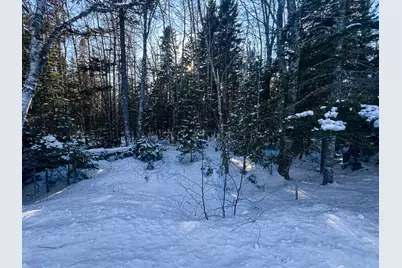 Tbd Duck Cove Road, Roque Bluffs, ME 04654 - Photo 9