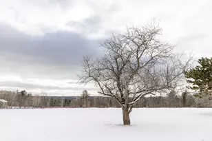 66 Bailey Hill Rd, Cambridge, ME 04923 - Photo 71