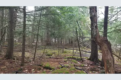 53 Johnson Road, Windham, ME 04062 - Photo 11