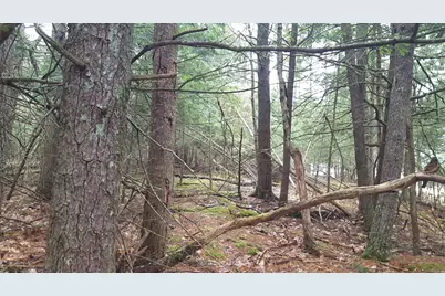 53 Johnson Road, Windham, ME 04062 - Photo 9