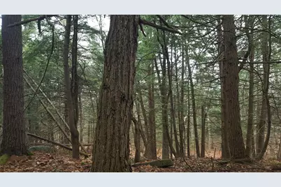 53 Johnson Road, Windham, ME 04062 - Photo 3