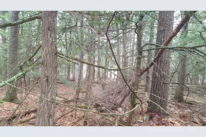 53 Johnson Road, Windham, ME 04062 - Photo 11