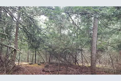 53 Johnson Road, Windham, ME 04062 - Photo 17