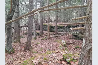 53B Johnson Road, Windham, ME 04062 - Photo 33