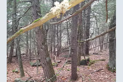 53 Johnson Road, Windham, ME 04062 - Photo 45