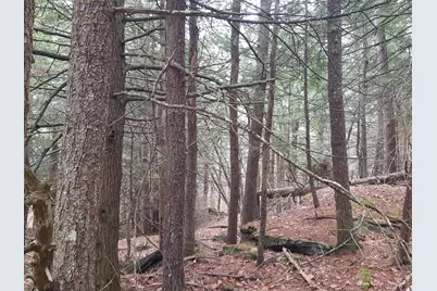 53 Johnson Road, Windham, ME 04062 - Photo 43