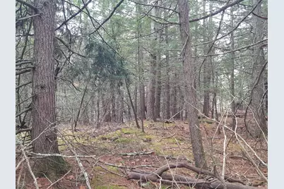 53 Johnson Road, Windham, ME 04062 - Photo 41