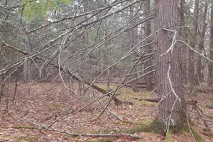 53B Johnson Rd, Windham, ME 04062 - Photo 29