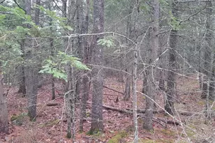 53B Johnson Rd, Windham, ME 04062 - Photo 23