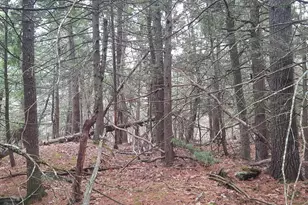 53B Johnson Rd, Windham, ME 04062 - Photo 33