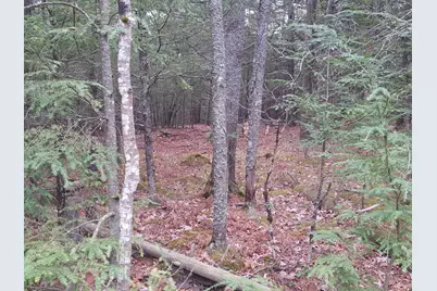 53 Johnson Road, Windham, ME 04062 - Photo 35